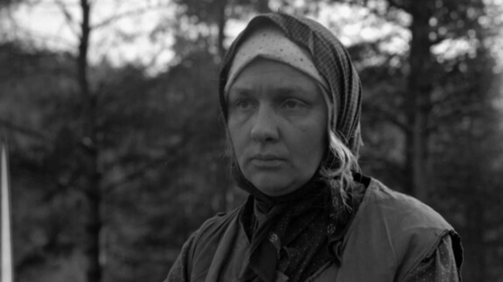 Наталья Тенякова в фильме «Любовь и голуби». Фото: Legion-Media