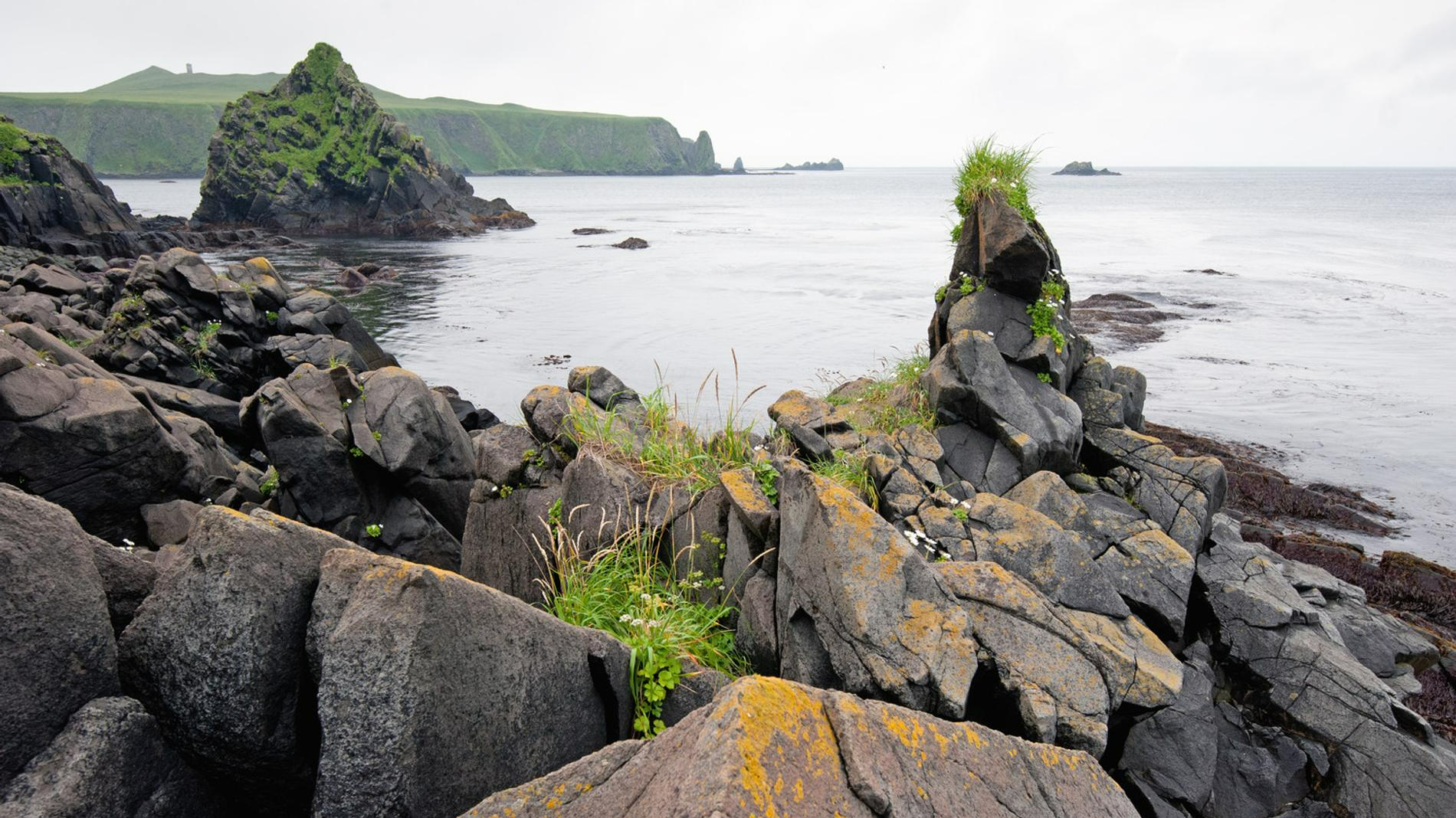 Фото: Depositphotos