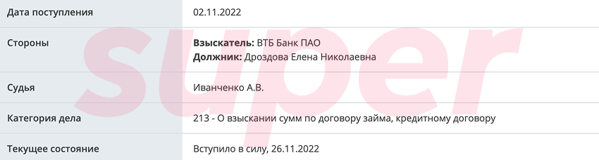 Суд Елены Дроздовой. Фото: портал Мировых судей города Москвы