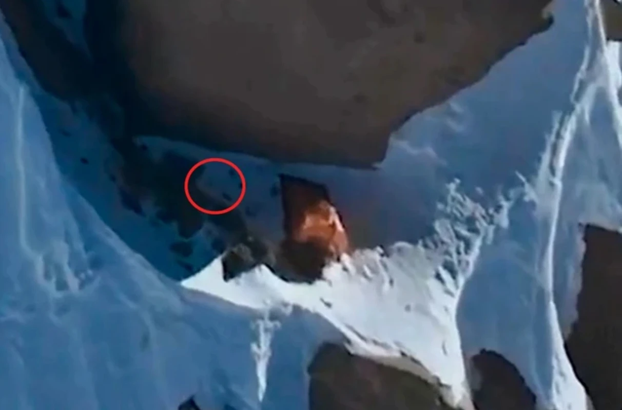 Съёмка 19 августа — рюкзака у палатки нет. Фото: скриншот видео Андрея Моглеваного