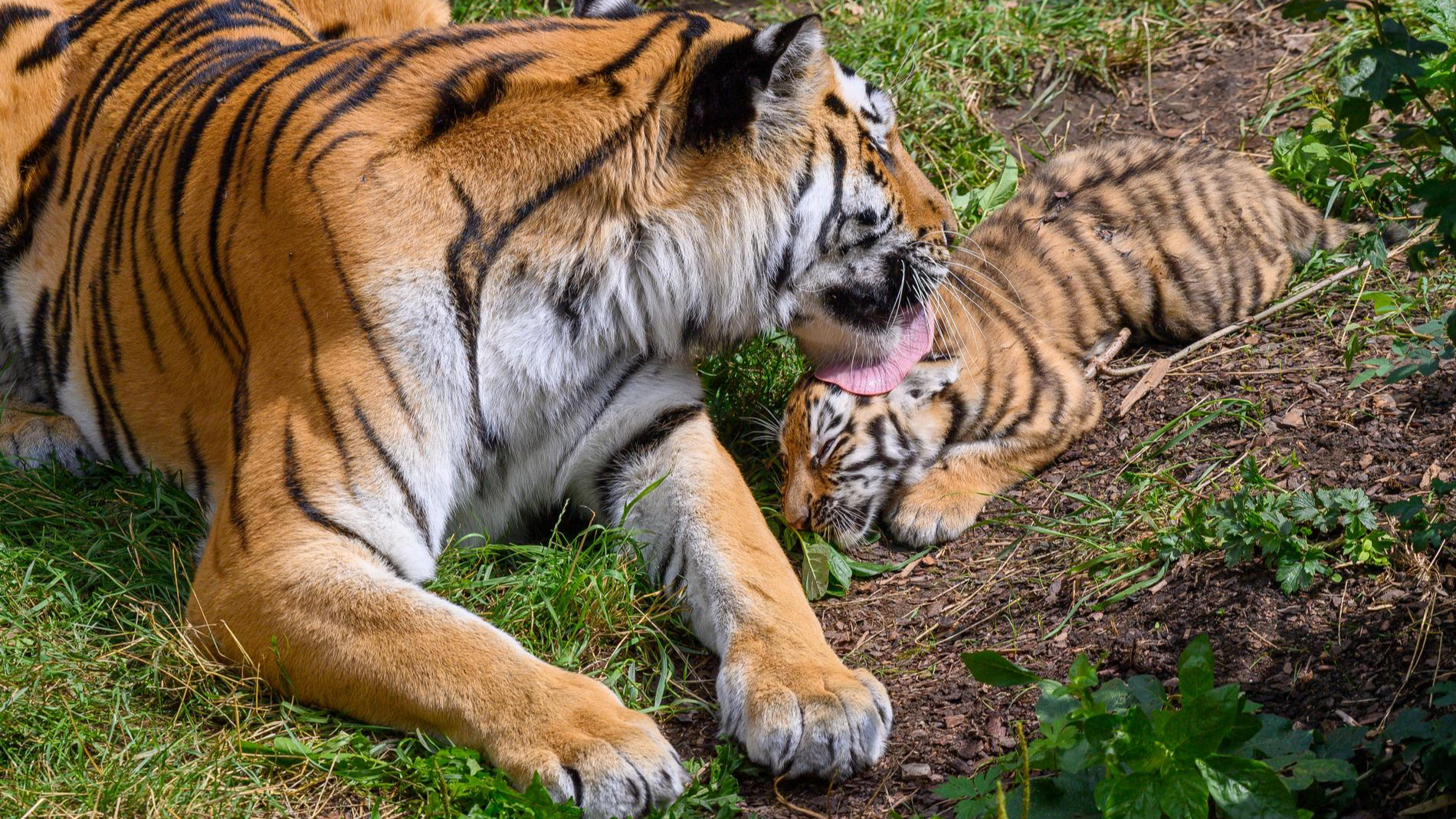 Фото: gettyimages.com