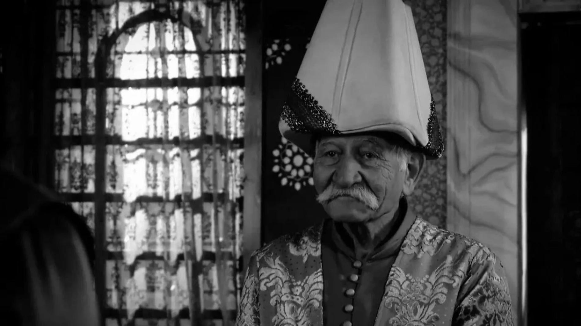  Ариф Эркин Гюзельбейоглу. Фото: kino-teatr.ru