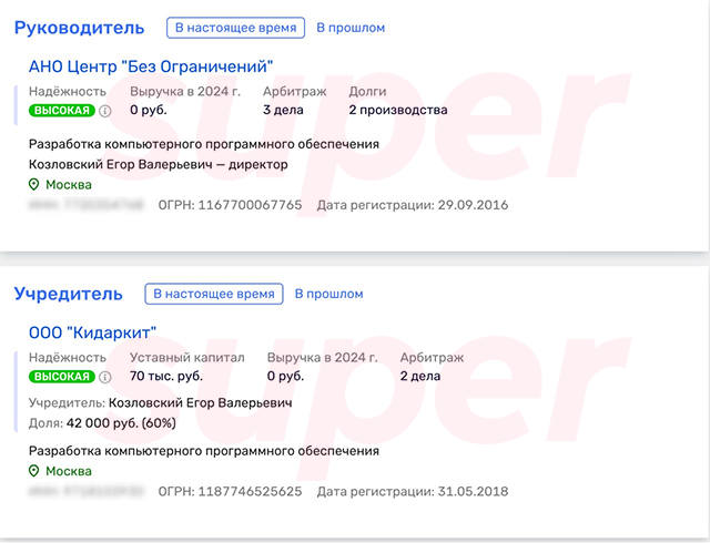 Данные о состоянии бизнеса Егора Козловского. Фото: Rusprofile 