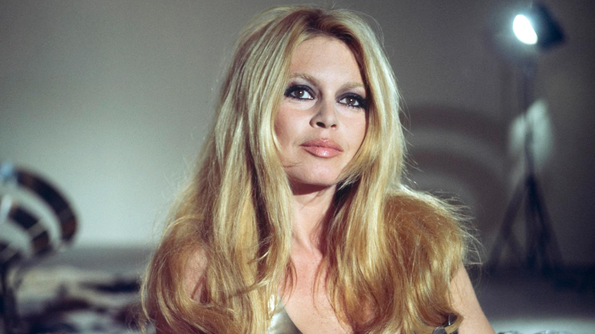 Брижит Бардо. Фото: Getty Images