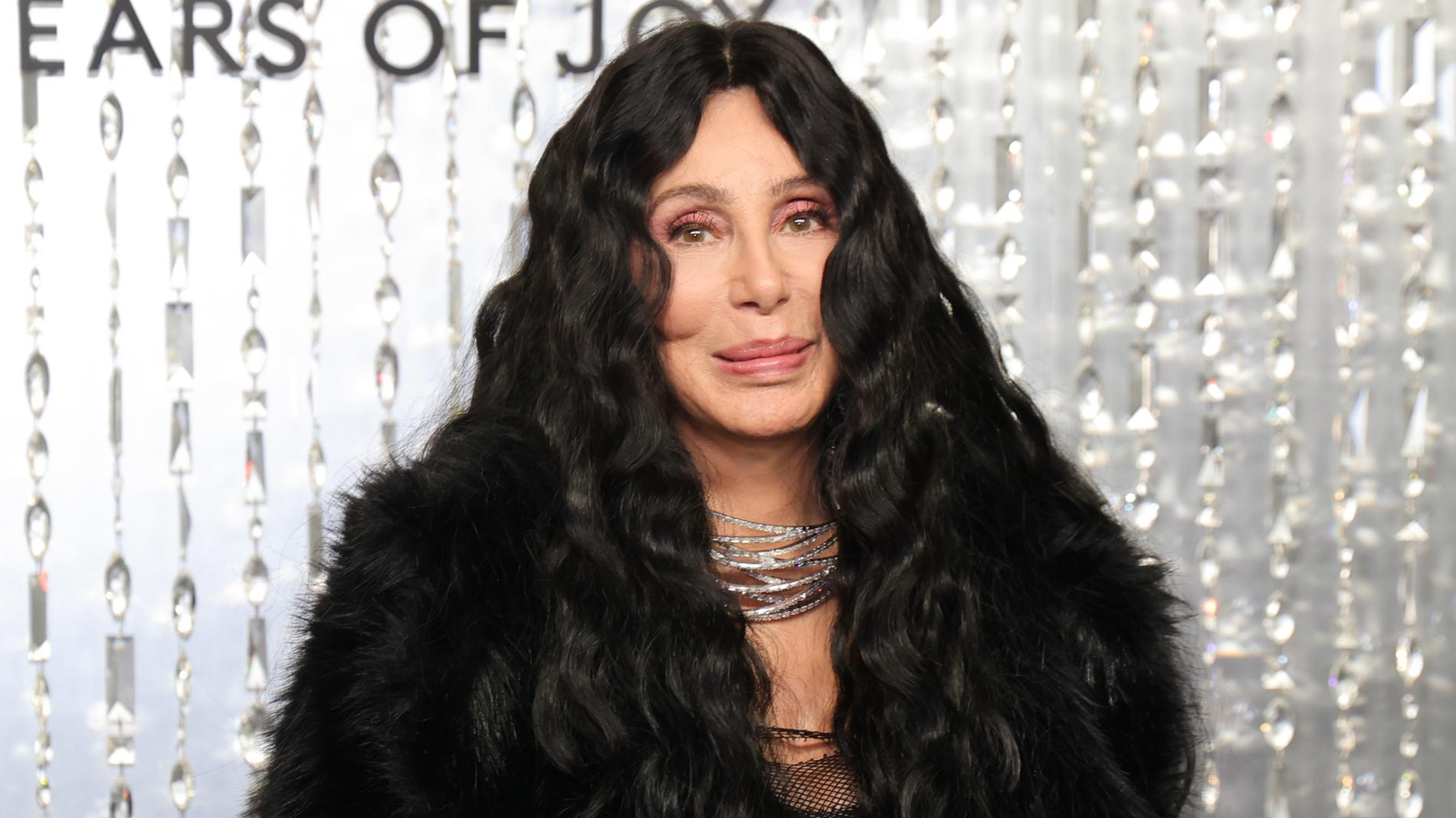 Шер. Фото: Getty Images