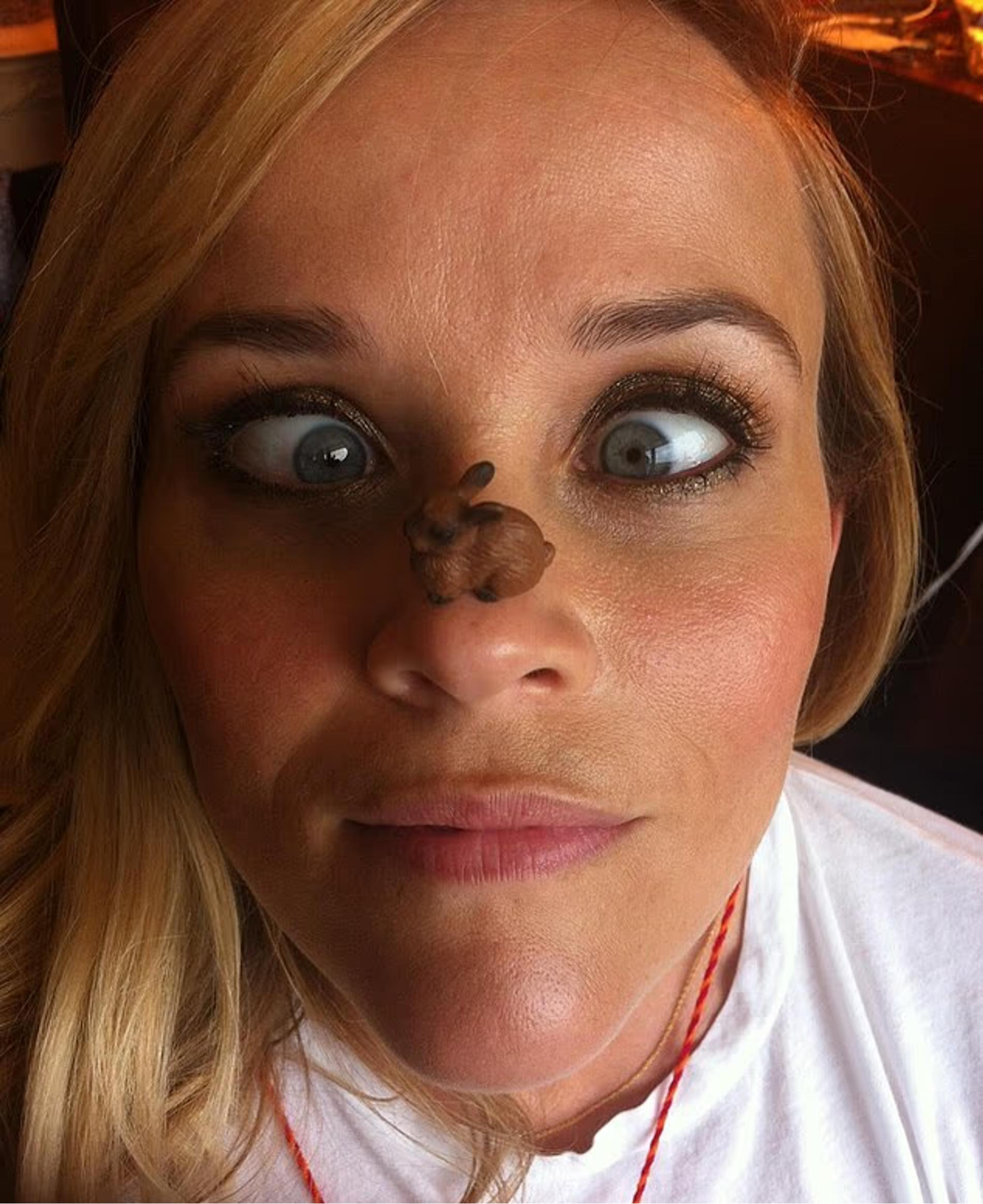 Фото: Инстаграм (запрещён в РФ) @reesewitherspoon