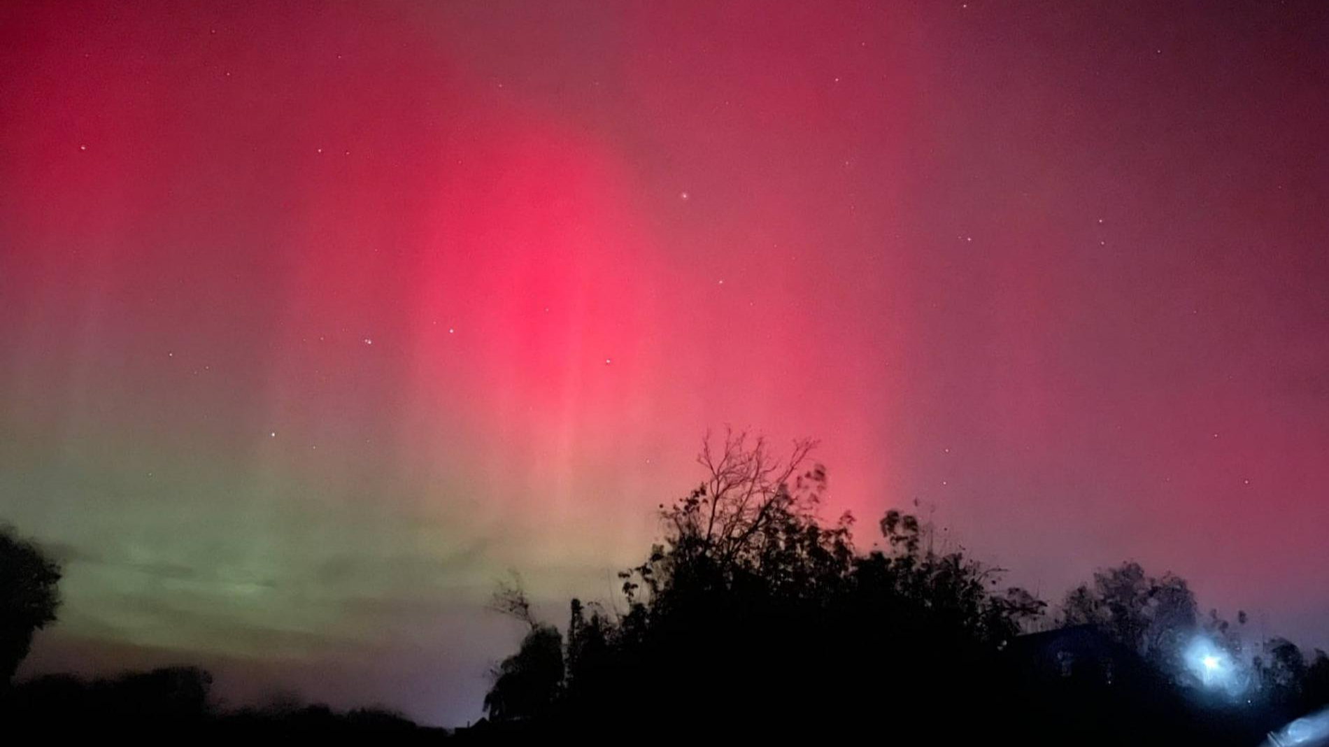 Фото: ТГ-канал @lpixras