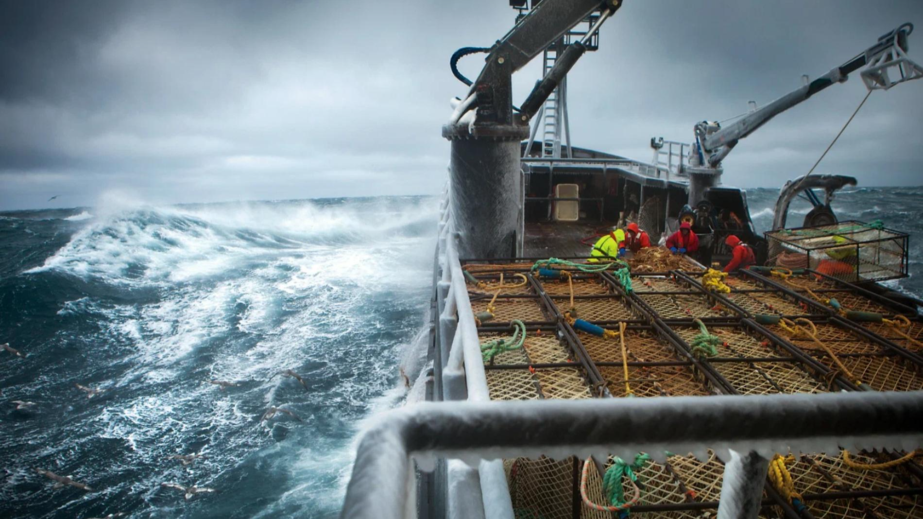 Кадр из шоу «Смертельный улов»: Кинопоиск