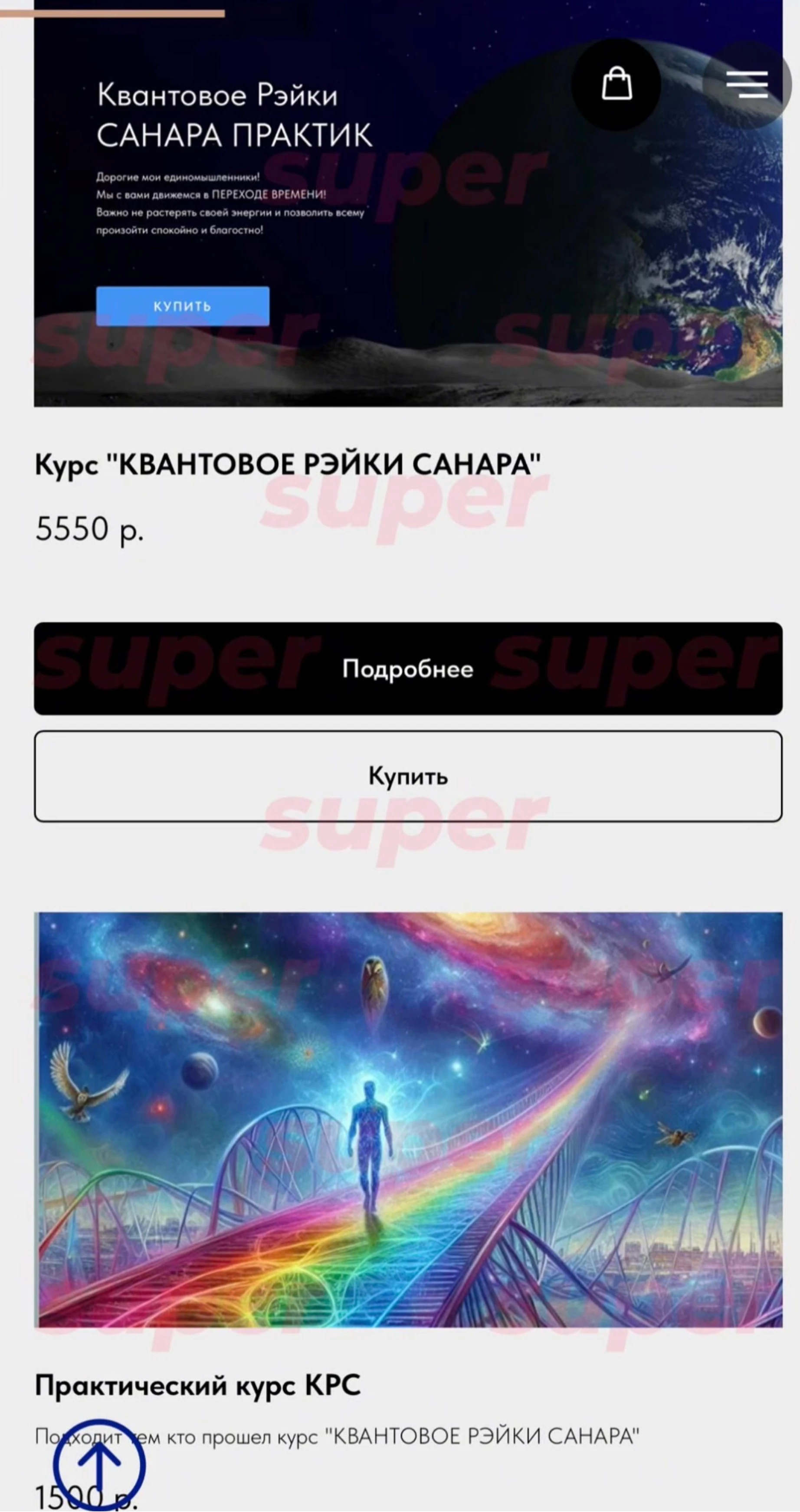 Список курсов, которые продаёт Светлана Чекалина. Фото: сайт героини материала