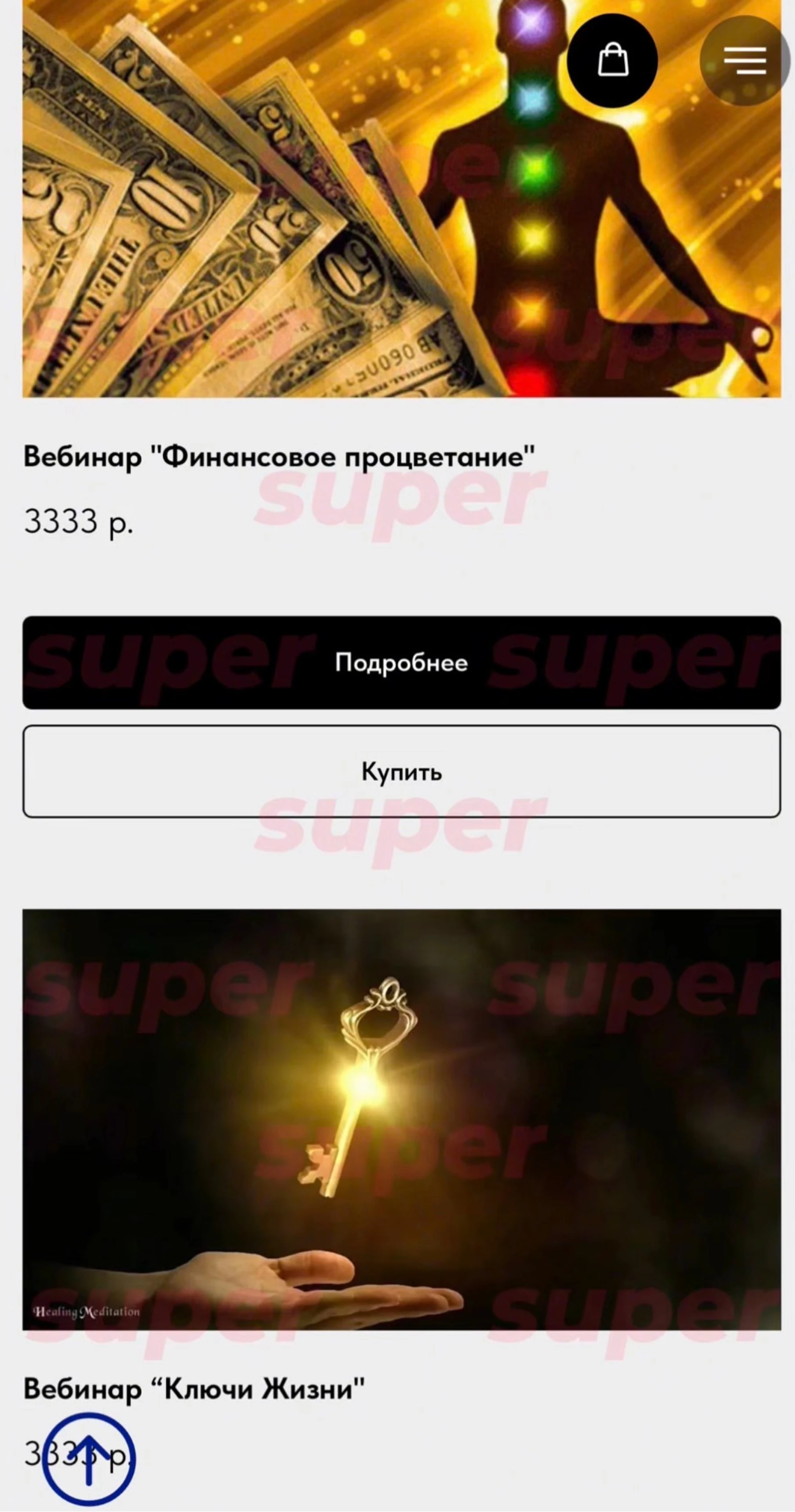 Список курсов, которые продаёт Светлана Чекалина. Фото: сайт героини материала