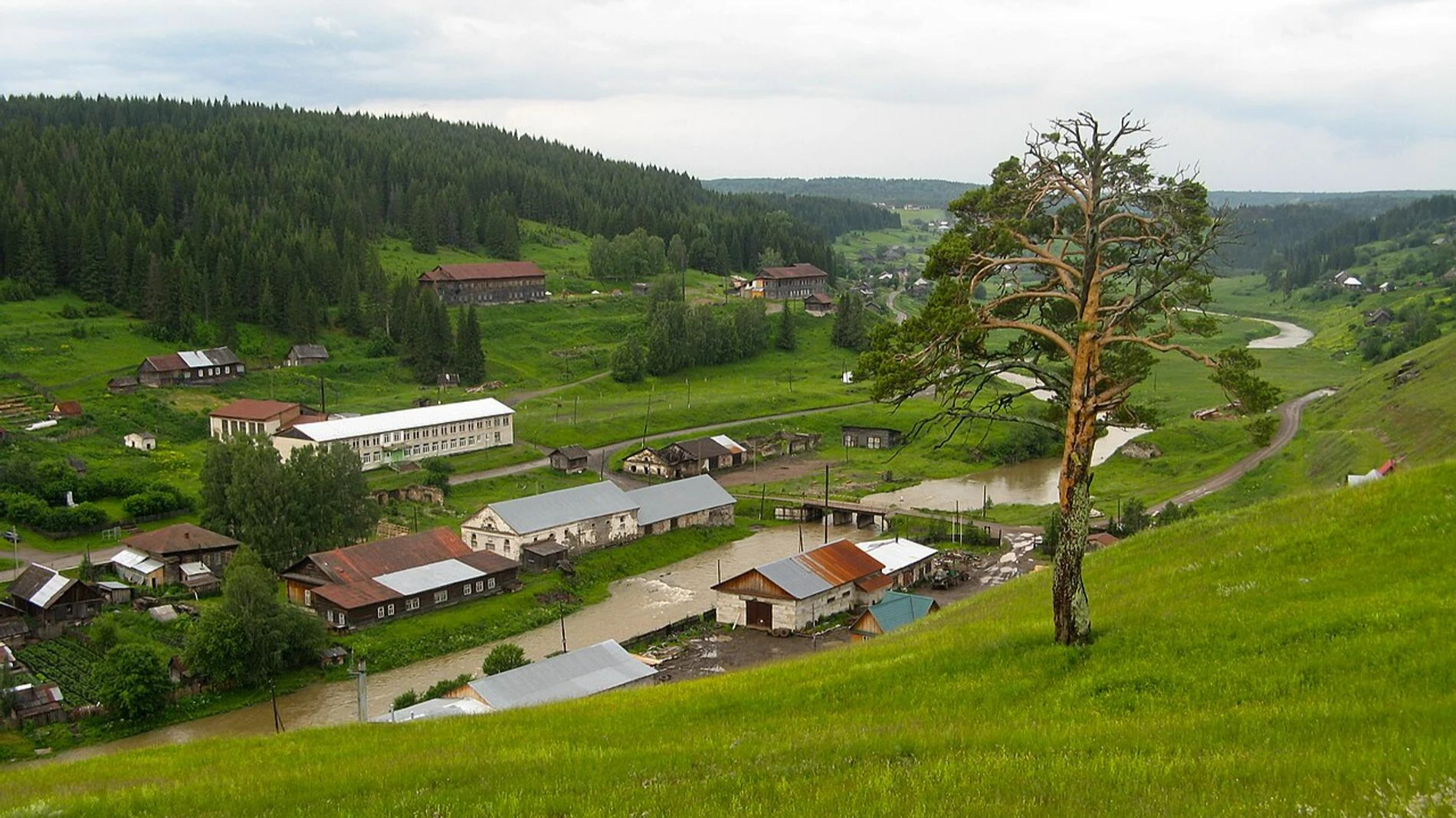 Село Кын. Фото: Wikipedia