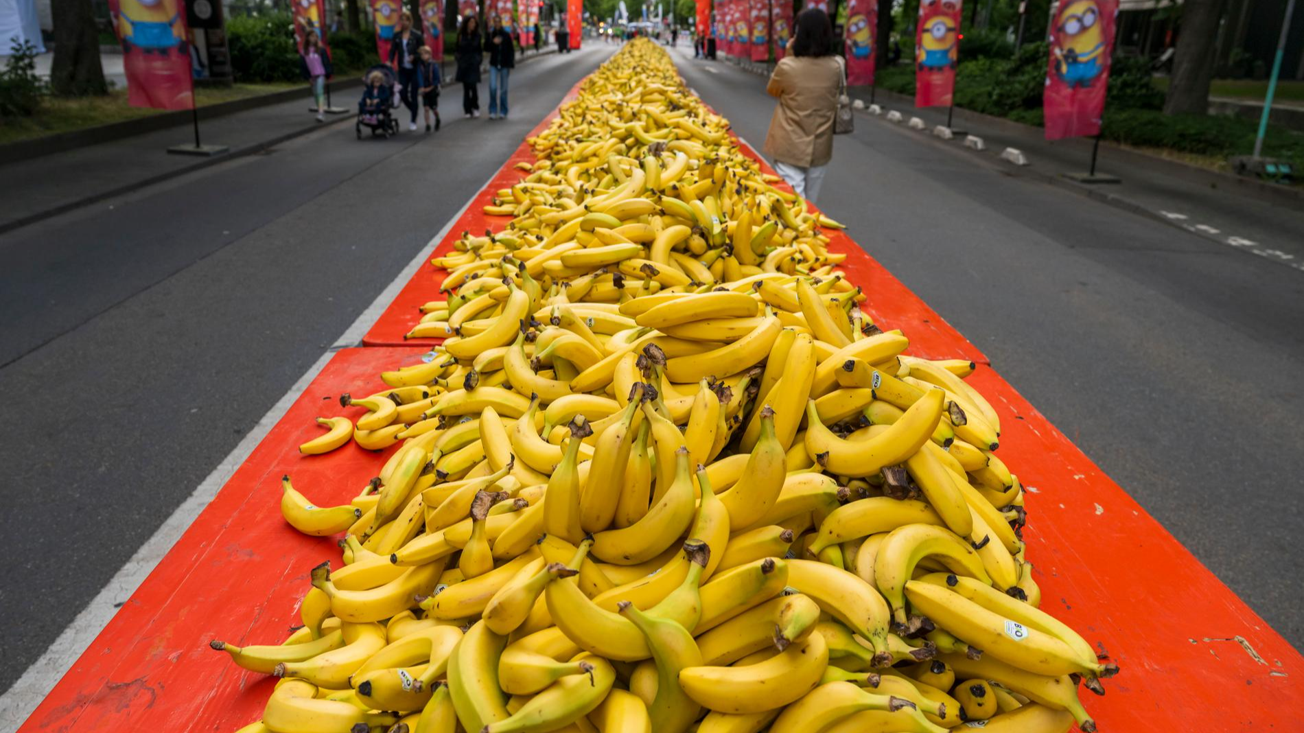 Фото: Getty Images