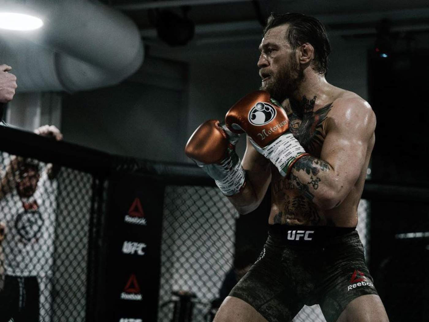 Фото: Инстаграм Конора Макгрегора