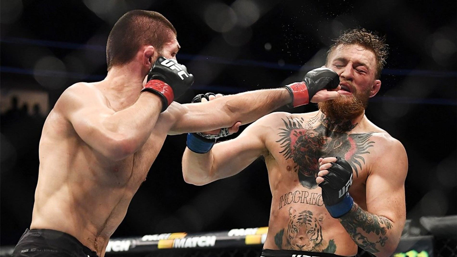 Фото: MMA Junkie