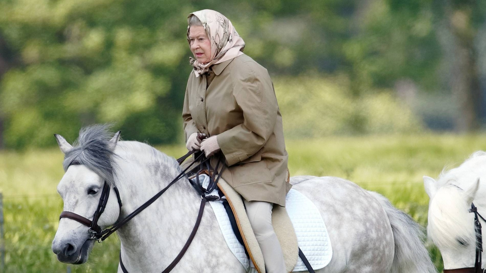 Фото: Getty Images