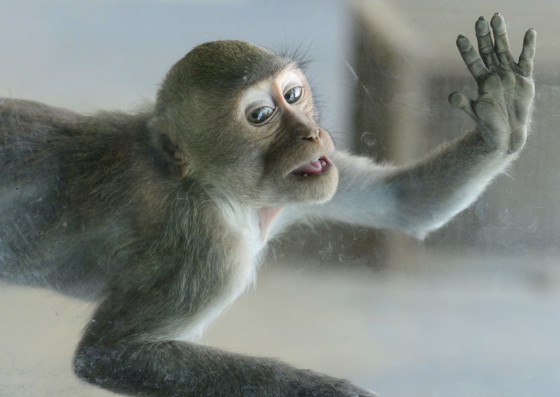 Фото © Getty Images