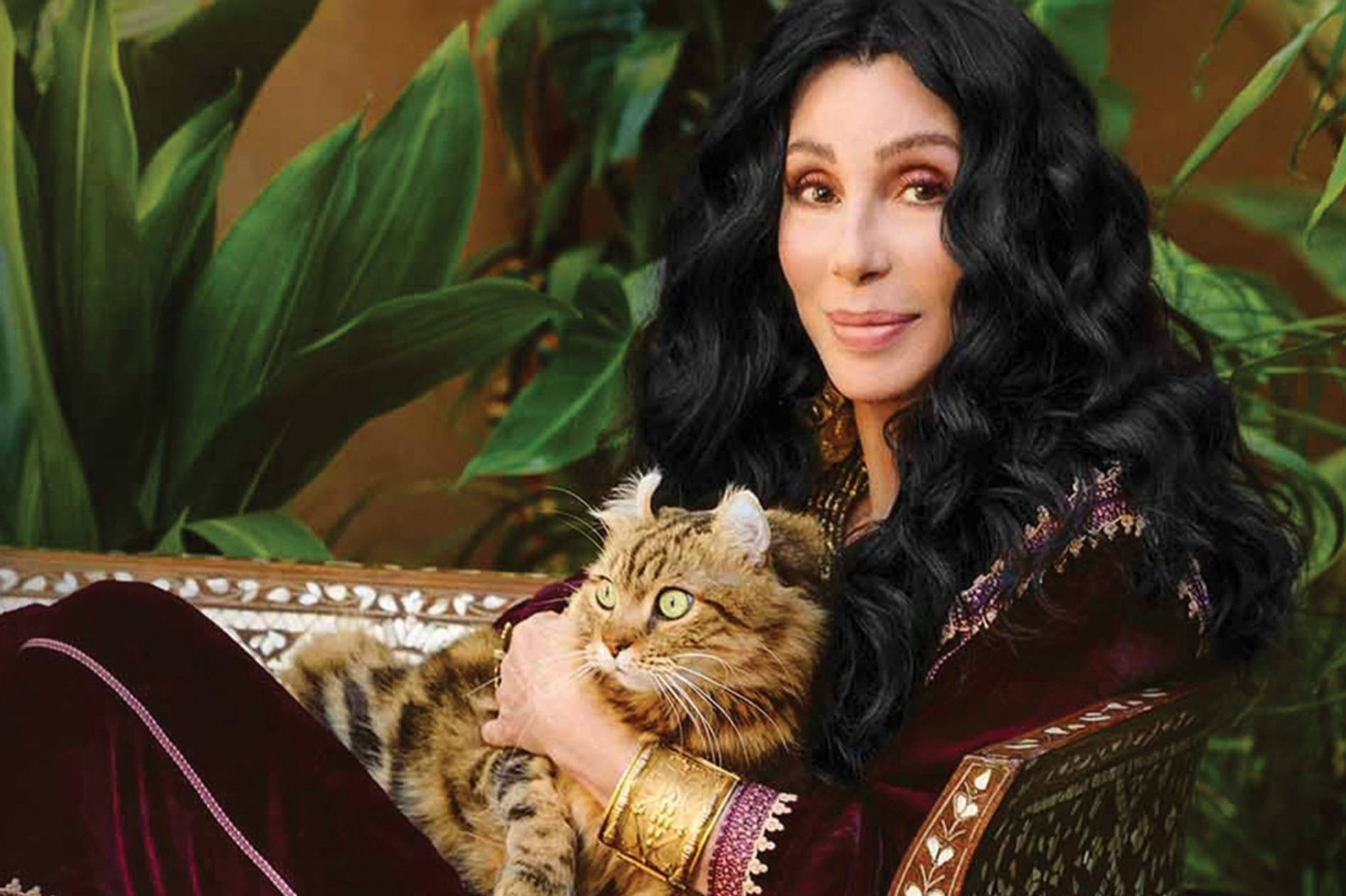 Шер
Фото: соцсети