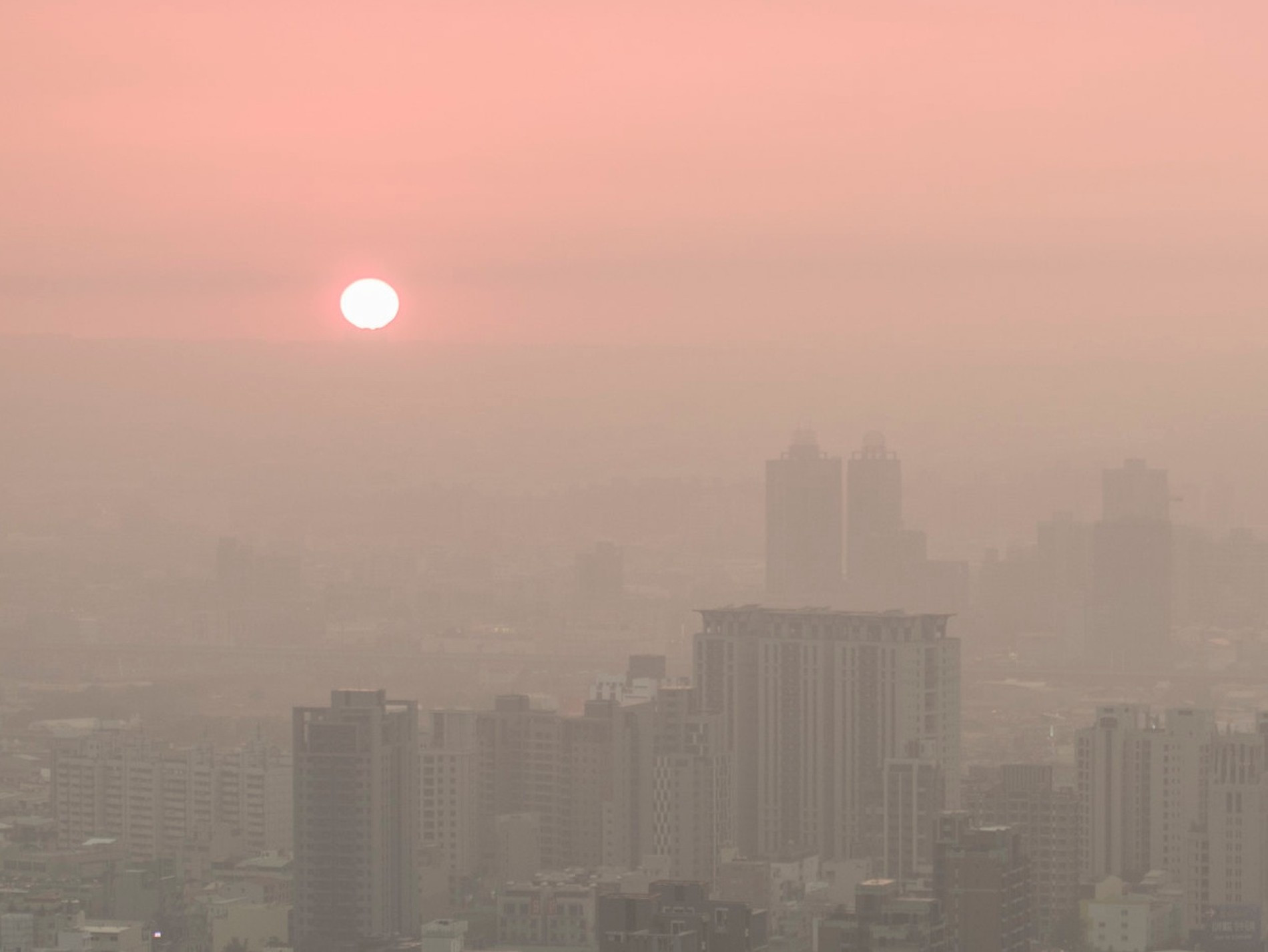 Фото: Инстаграм (запрещен в РФ)