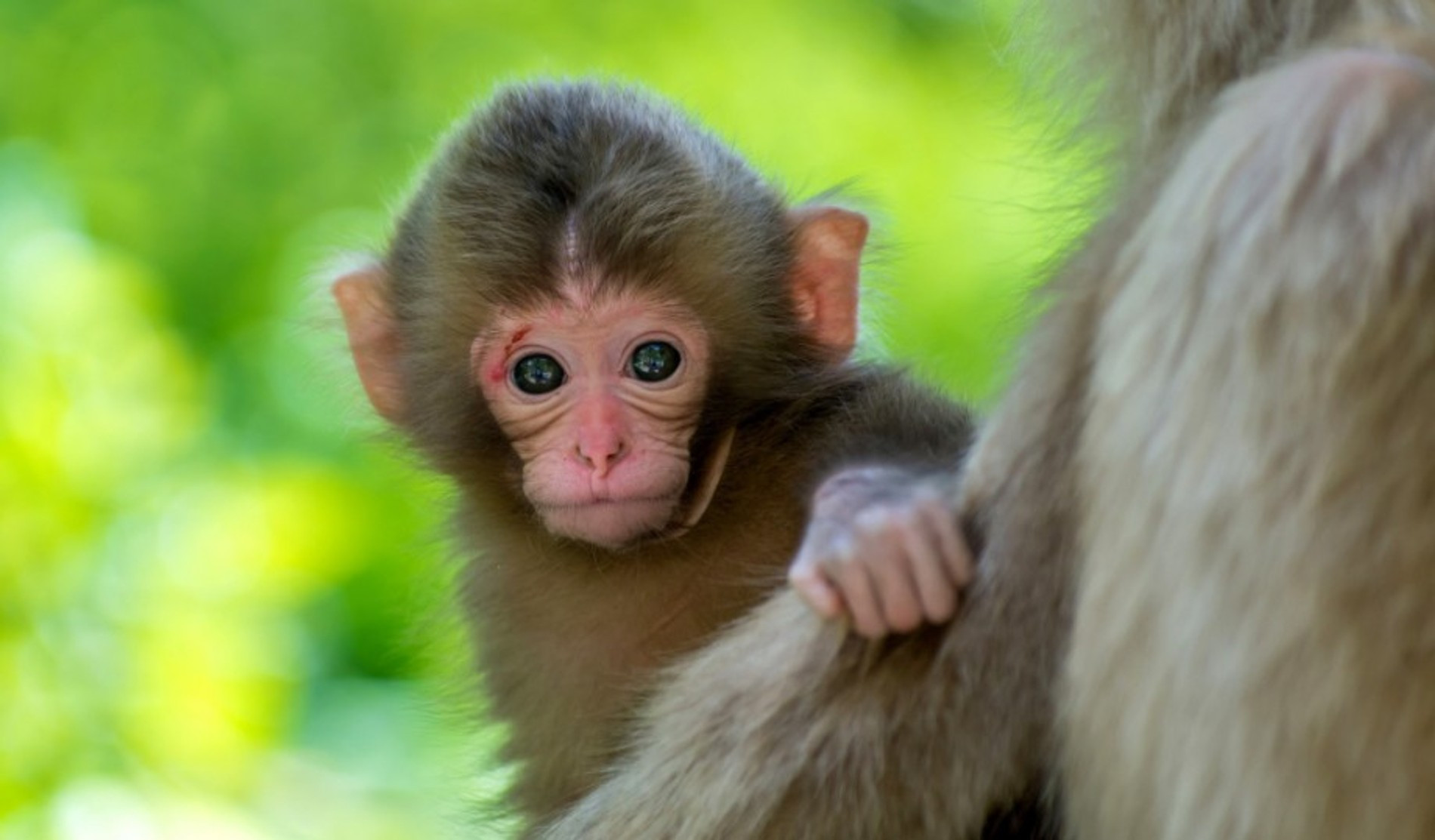 Фото: Инстаграм (запрещен в РФ)