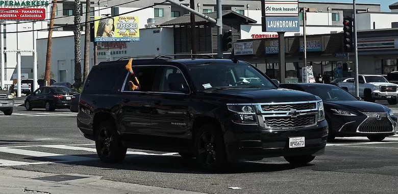 Фото: Daily Mail