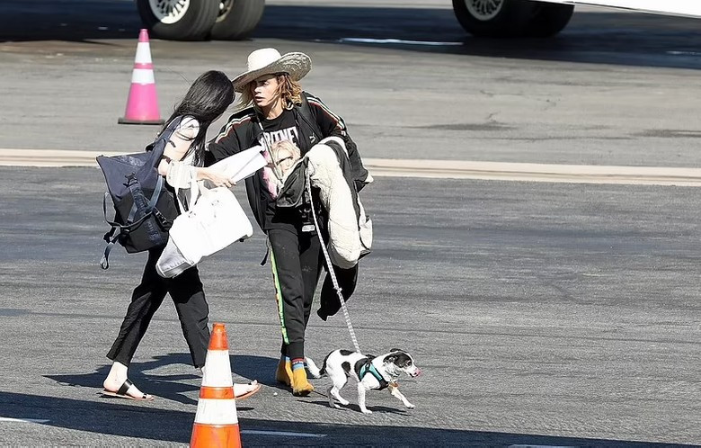 Фото: Daily Mail