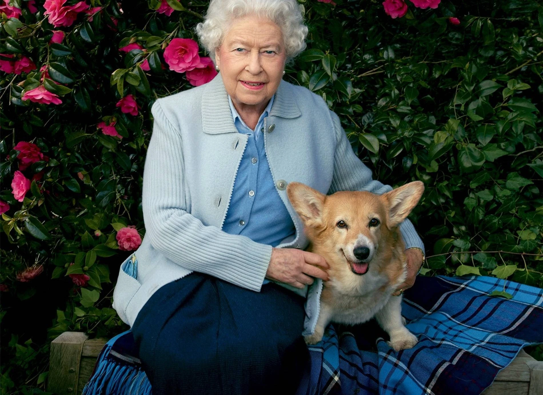 Фото: Vanity Fair