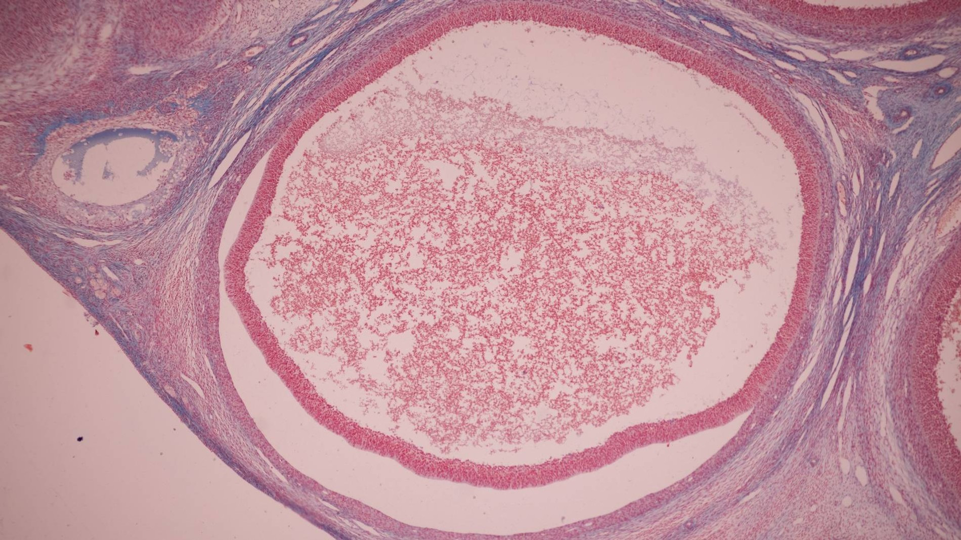 Фото: Getty Images