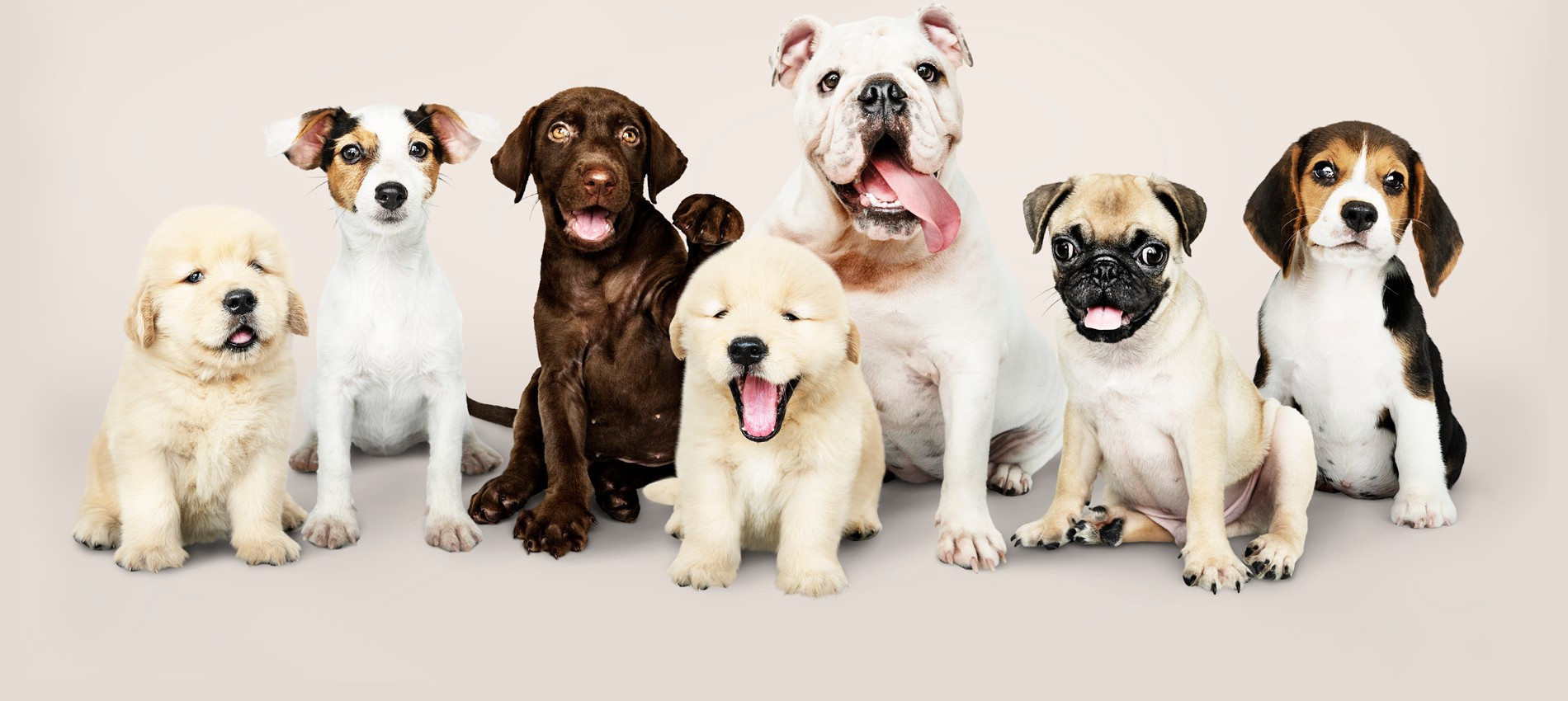 Фото: Getty Images