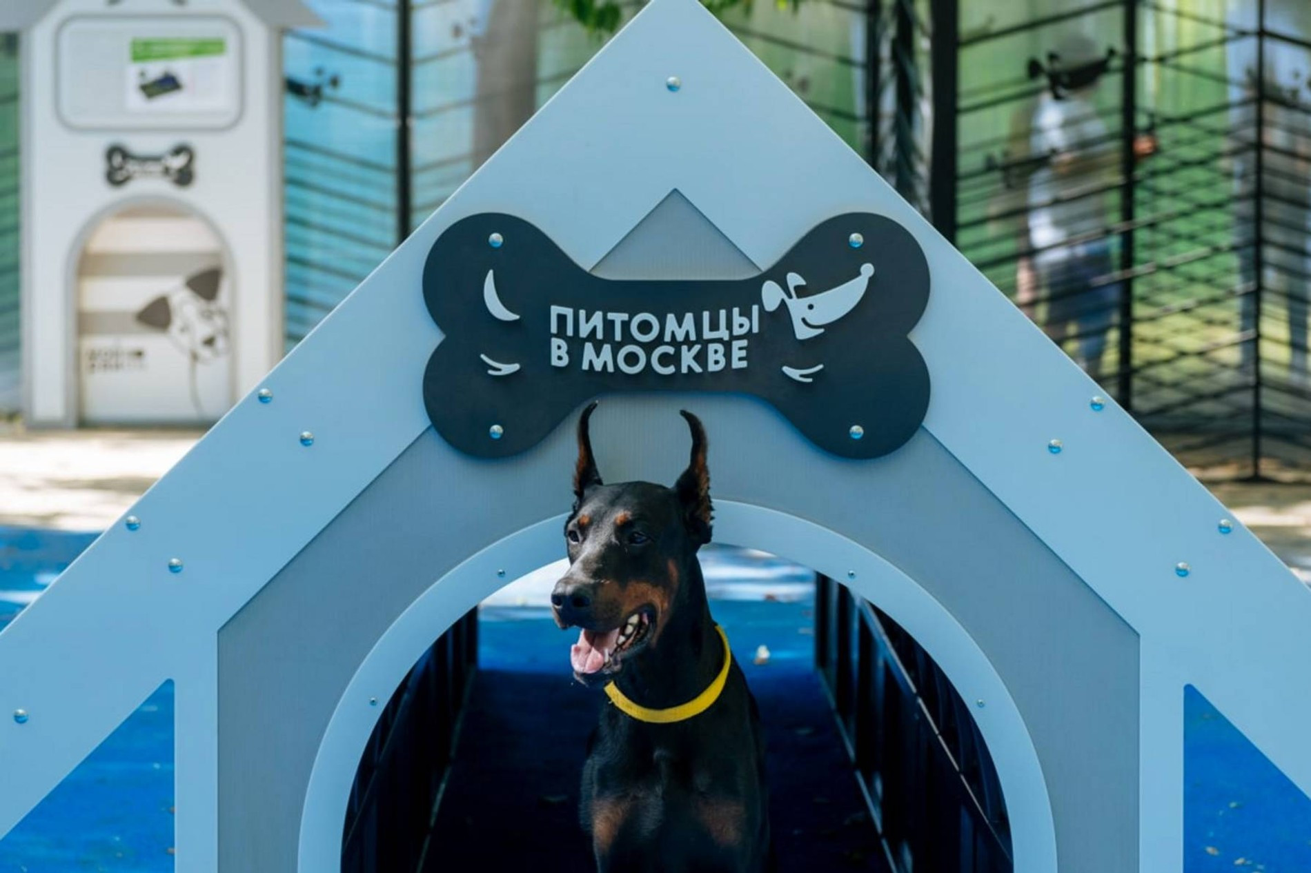 Фото: pro-raion.ru