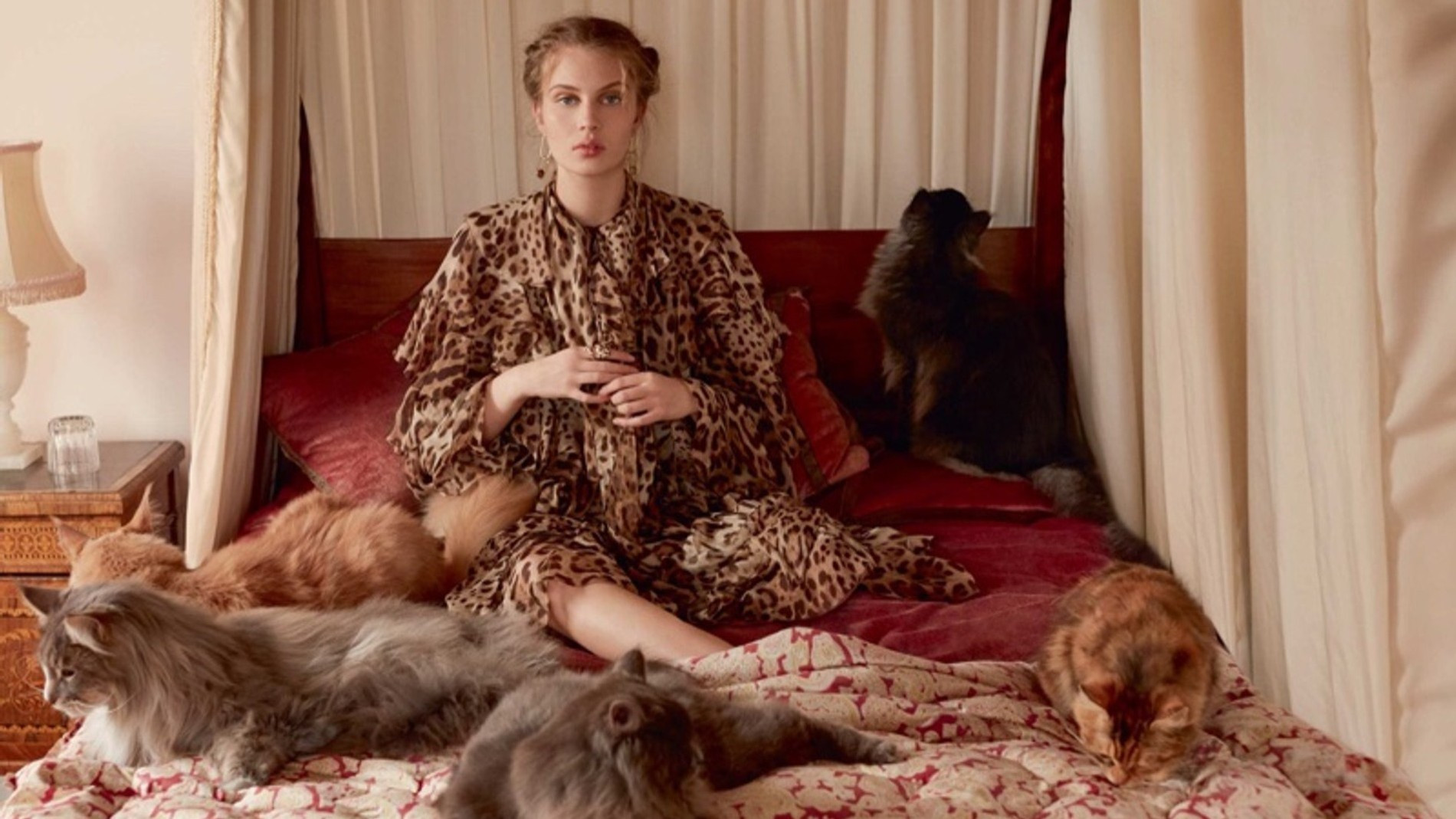 Фото: Harper's Bazaar