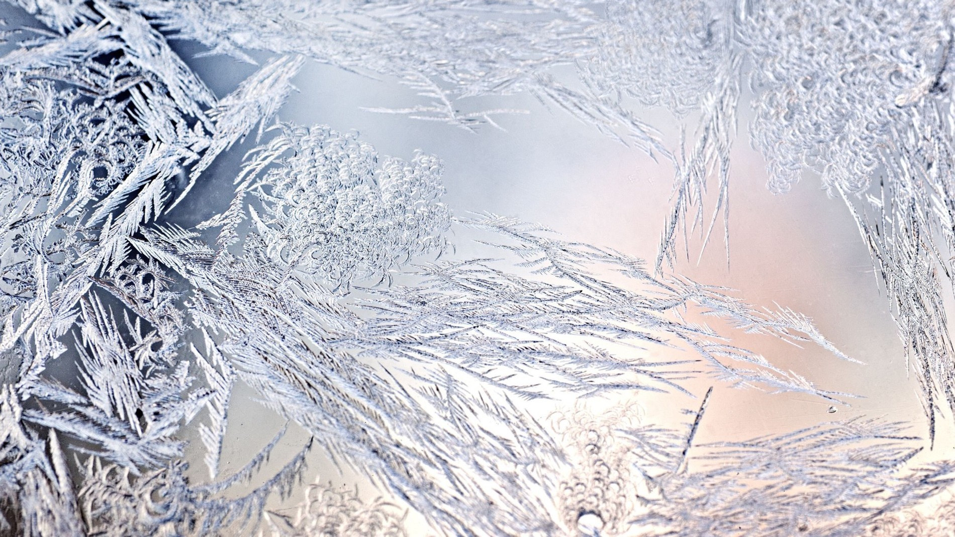 Фото: Dreamstime