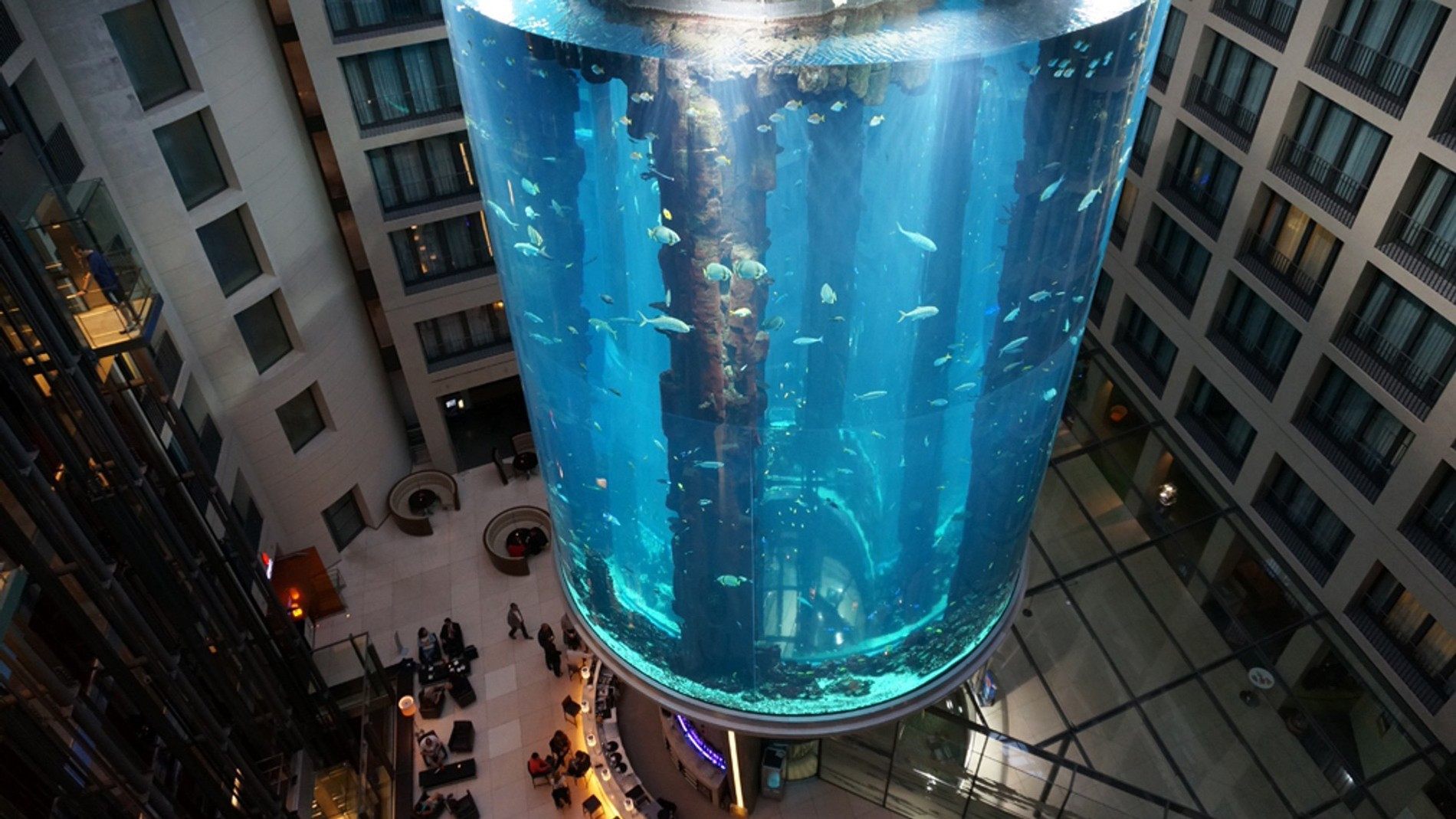 Аквариум AquaDom до разрушения
Фото: blog.radisson.ru