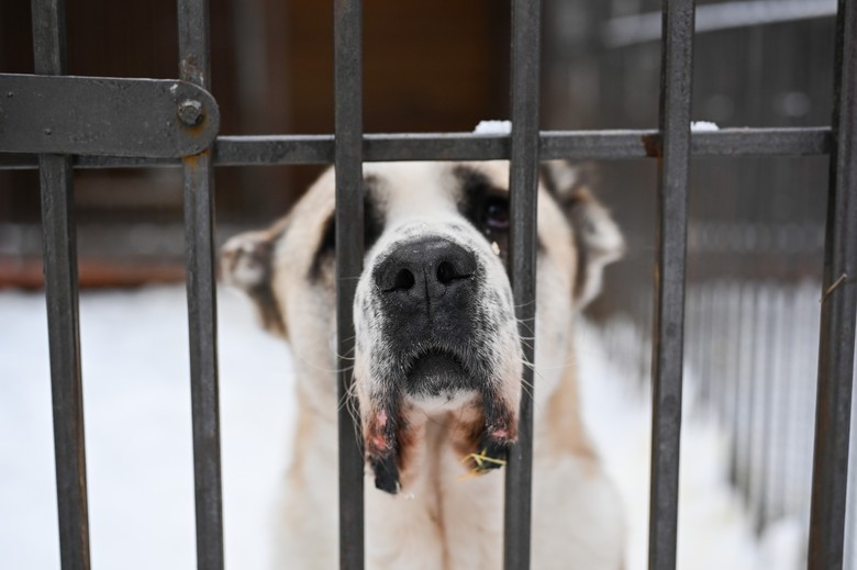 Фото: Super.ru / Александра Марченко