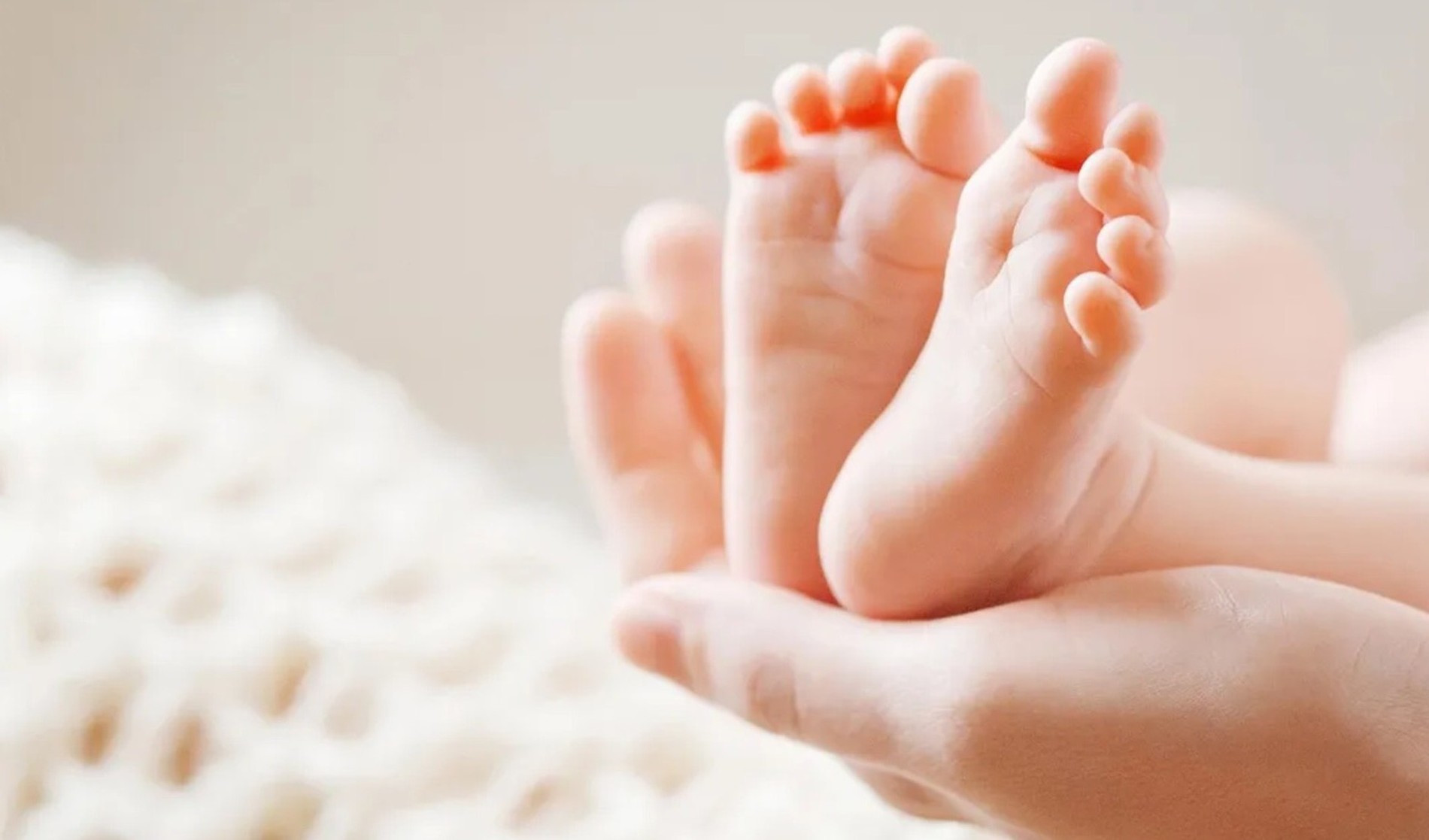 Фото: The Independent