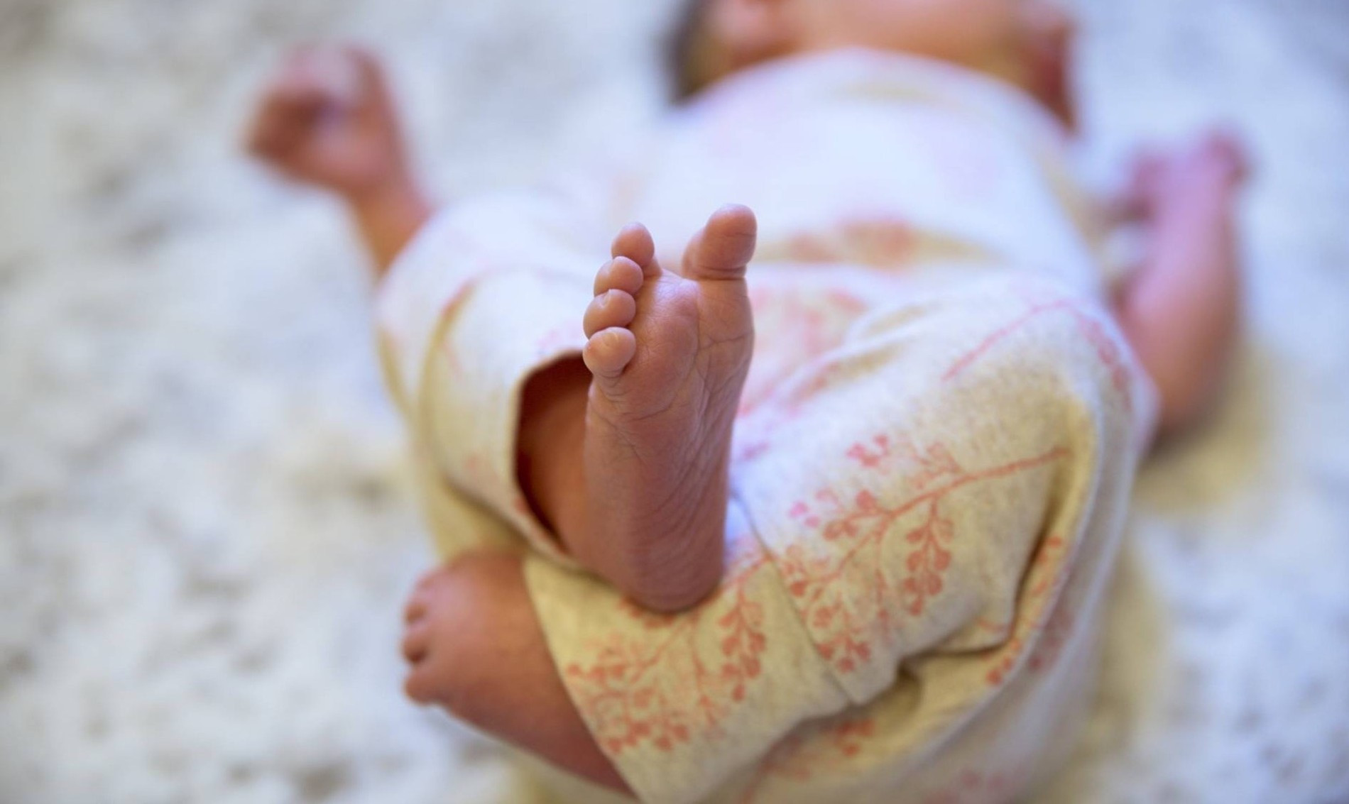 Фото: Legion media 