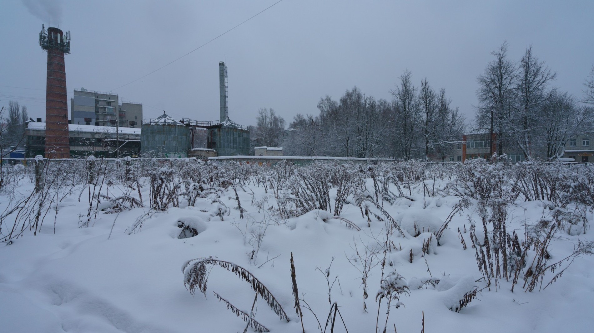 Брянская область
Фото: Getty Images