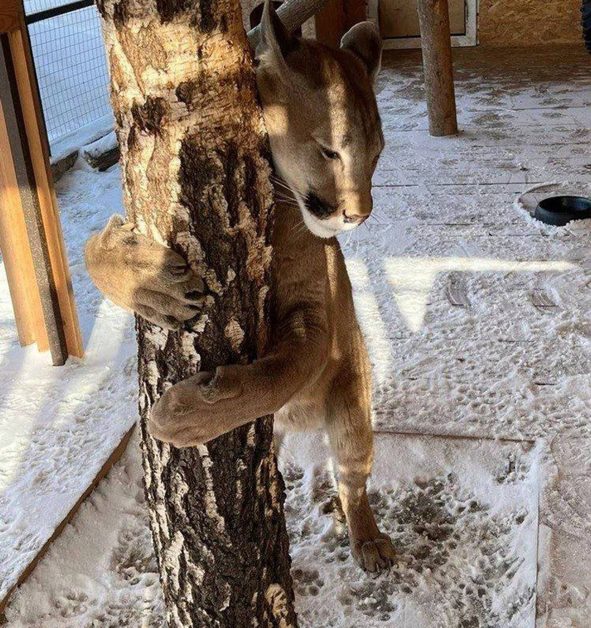 Фото: Инстаграм (запрещен в РФ)