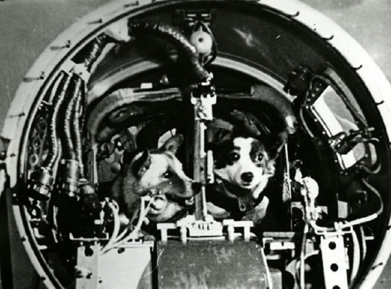 Цыган и Дезик в космическом корабле. Источник: Roscosmos.ru