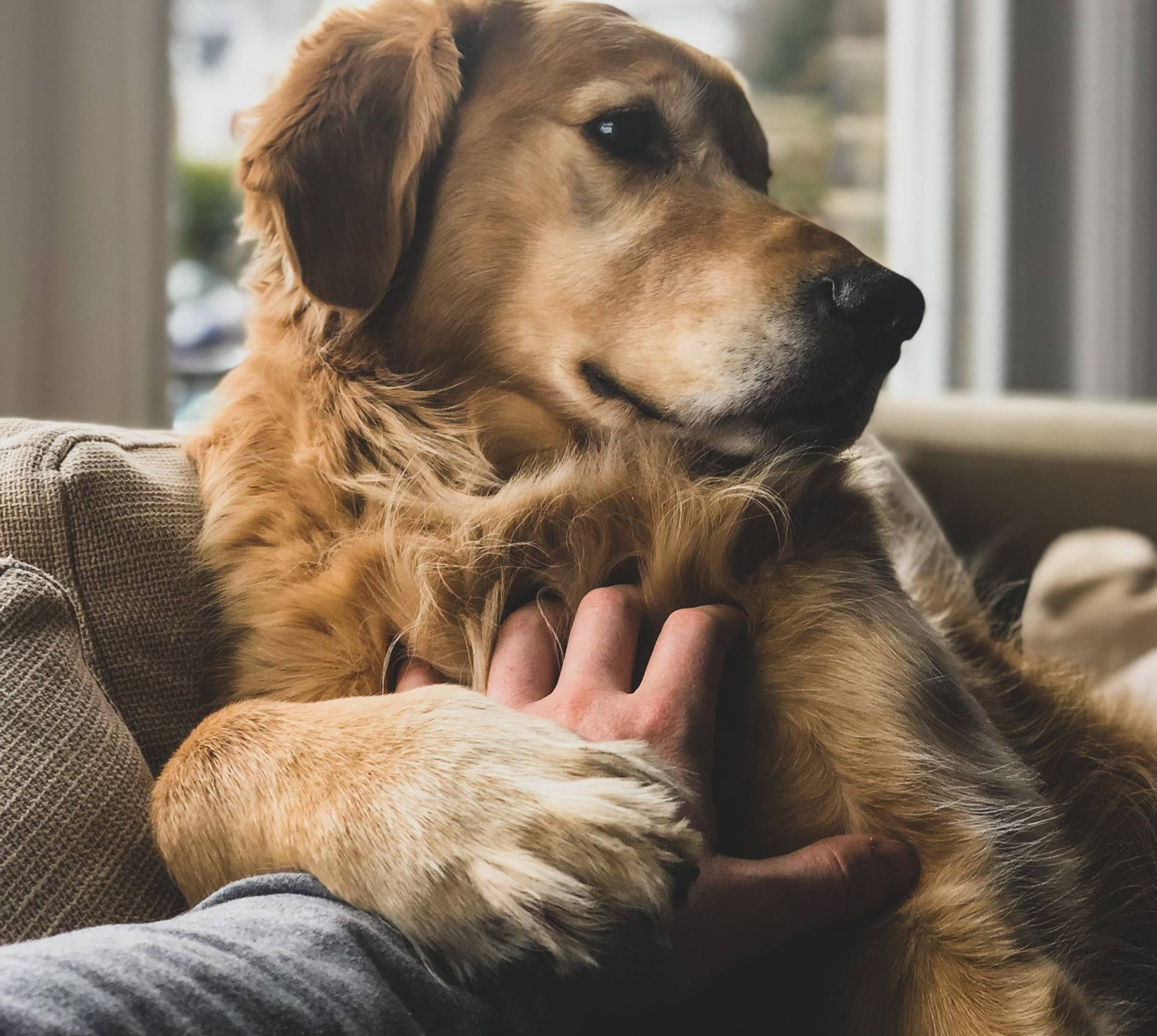 Фото: unsplash.com 