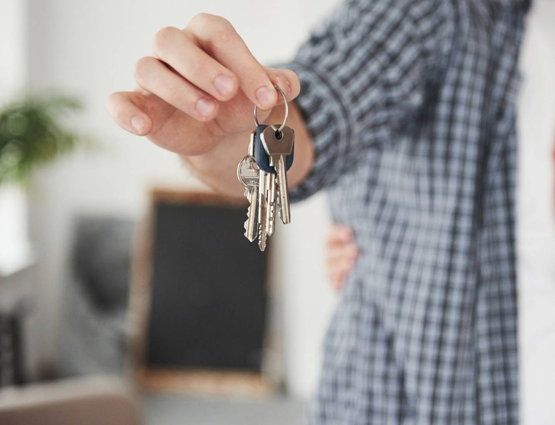 Фото: standret на Freepik