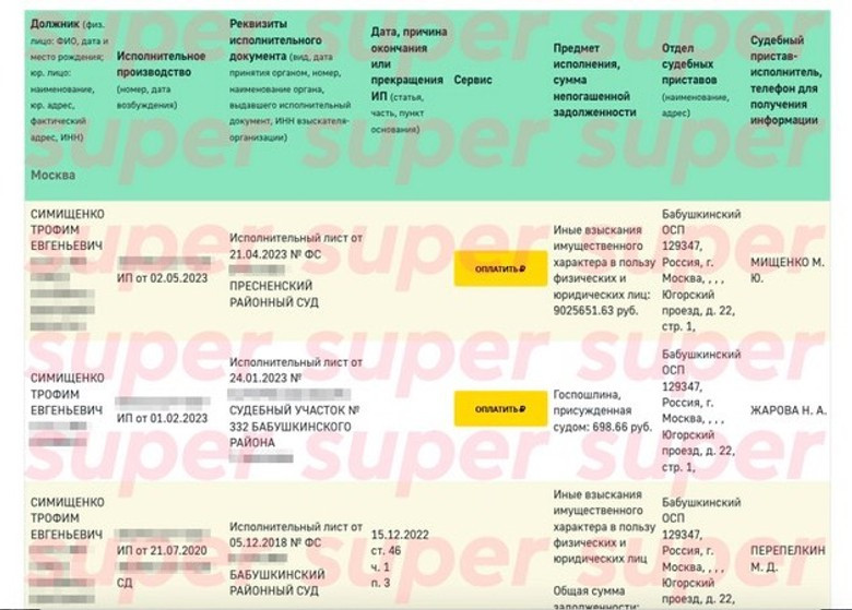 Задолженности Трофима Симищенко. Фото: скрин с сайта ФССП