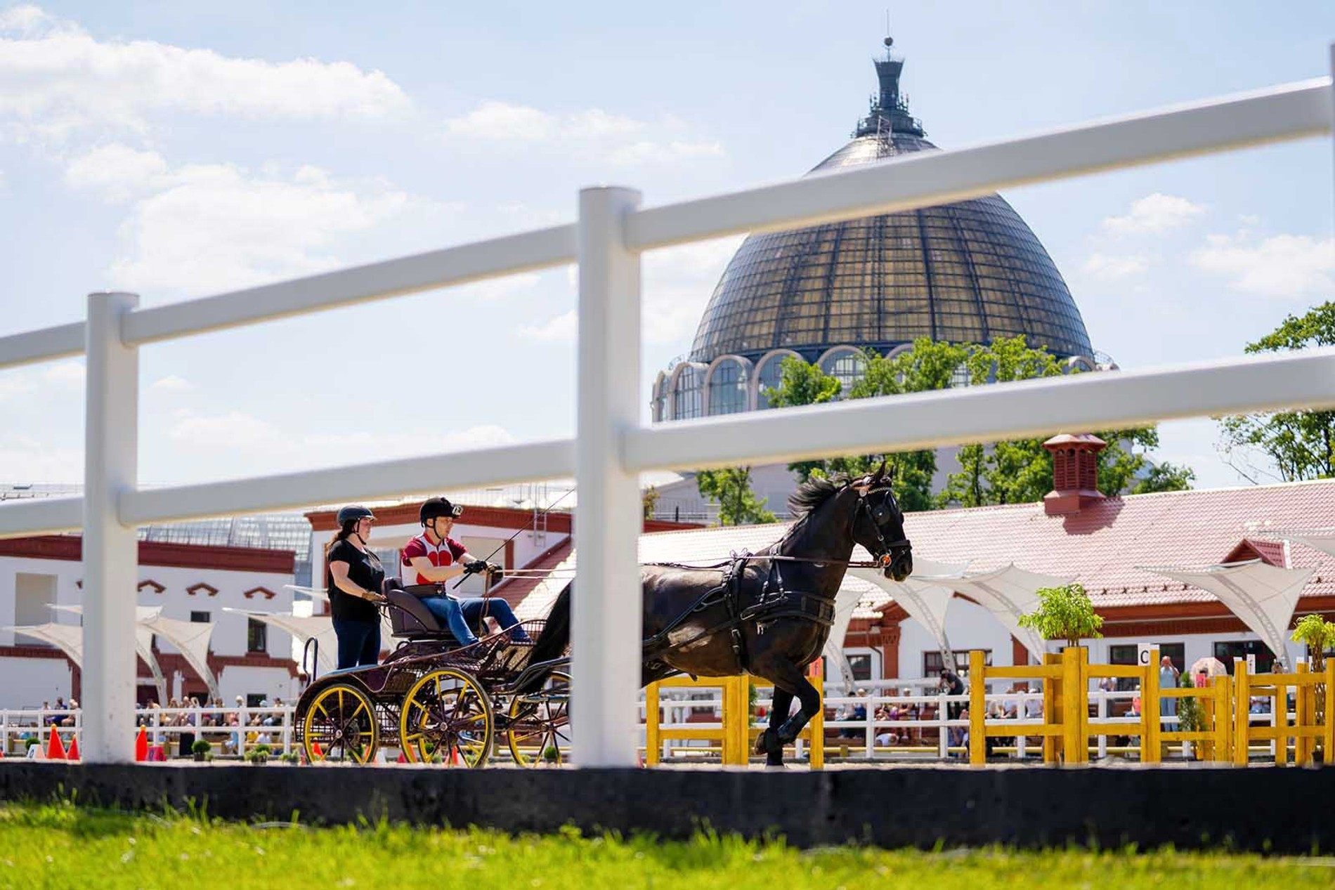 Фото: пресс-служба ВДНХ