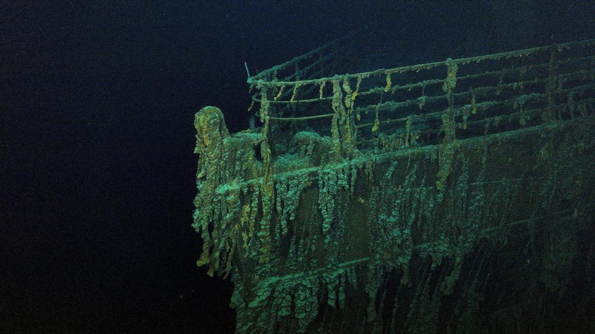 Фото: Getty Images