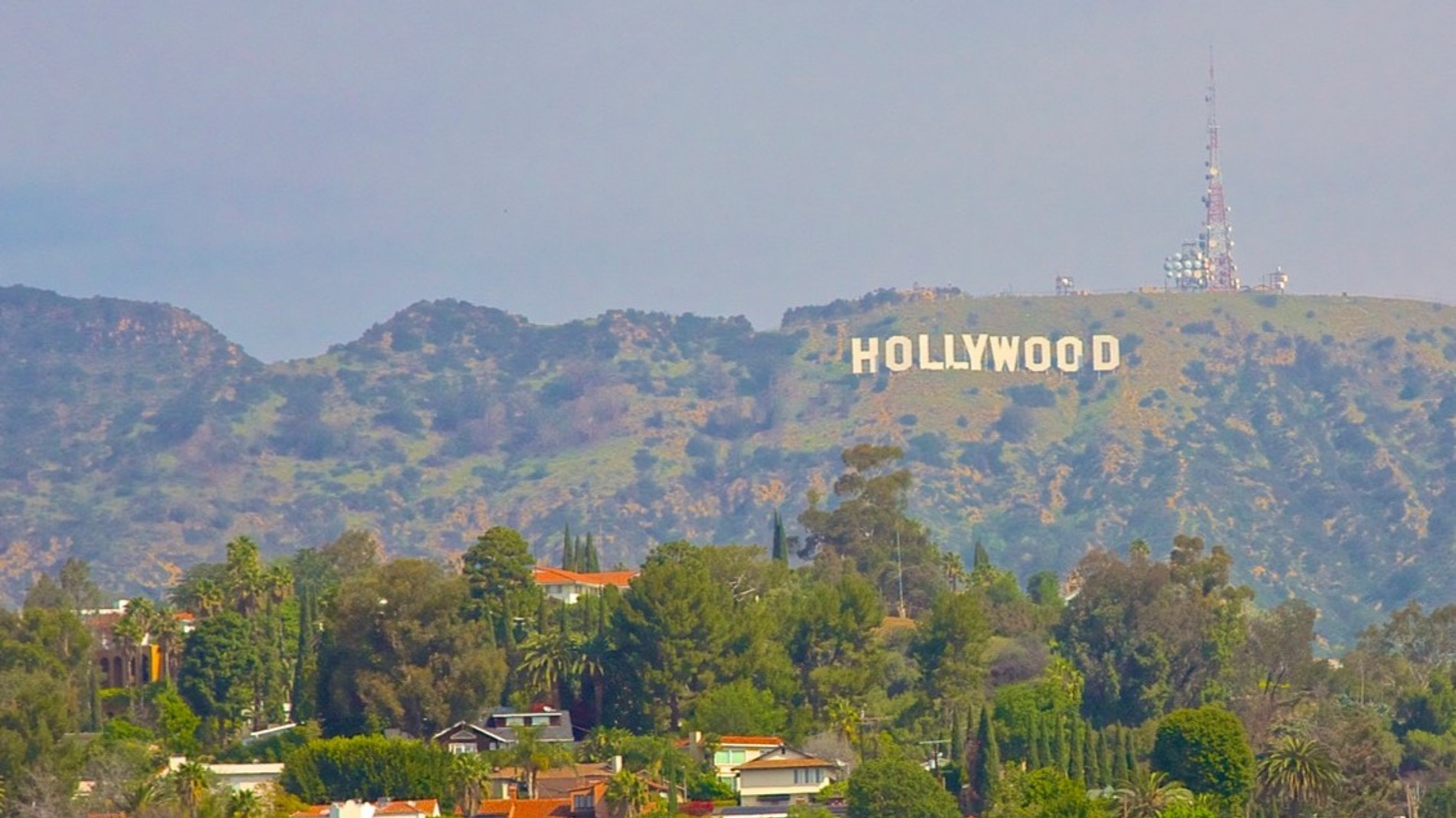 Фото: Getty Images