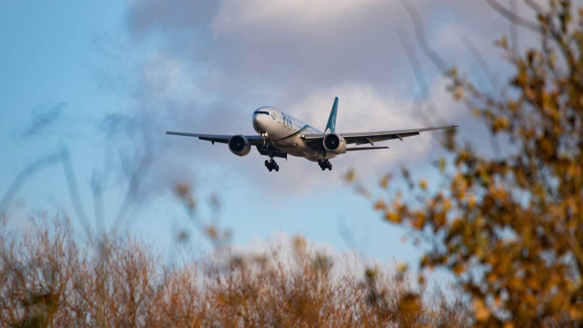 Фото: Getty Images