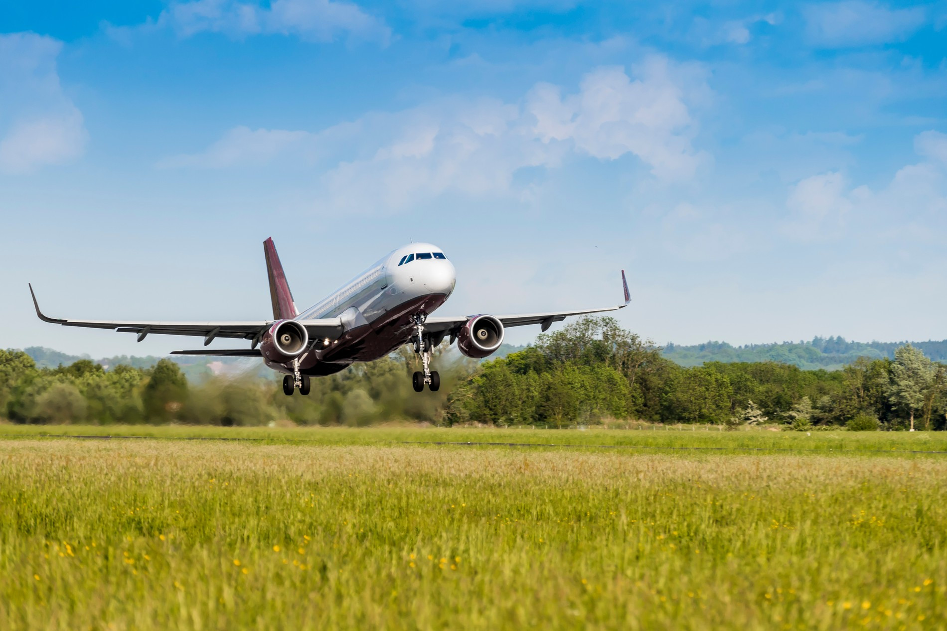 Фото: Getty Images