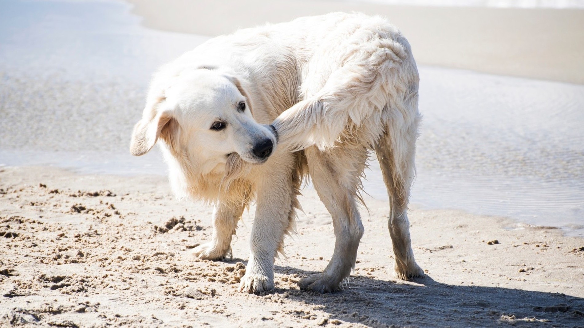Фото: Getty Images