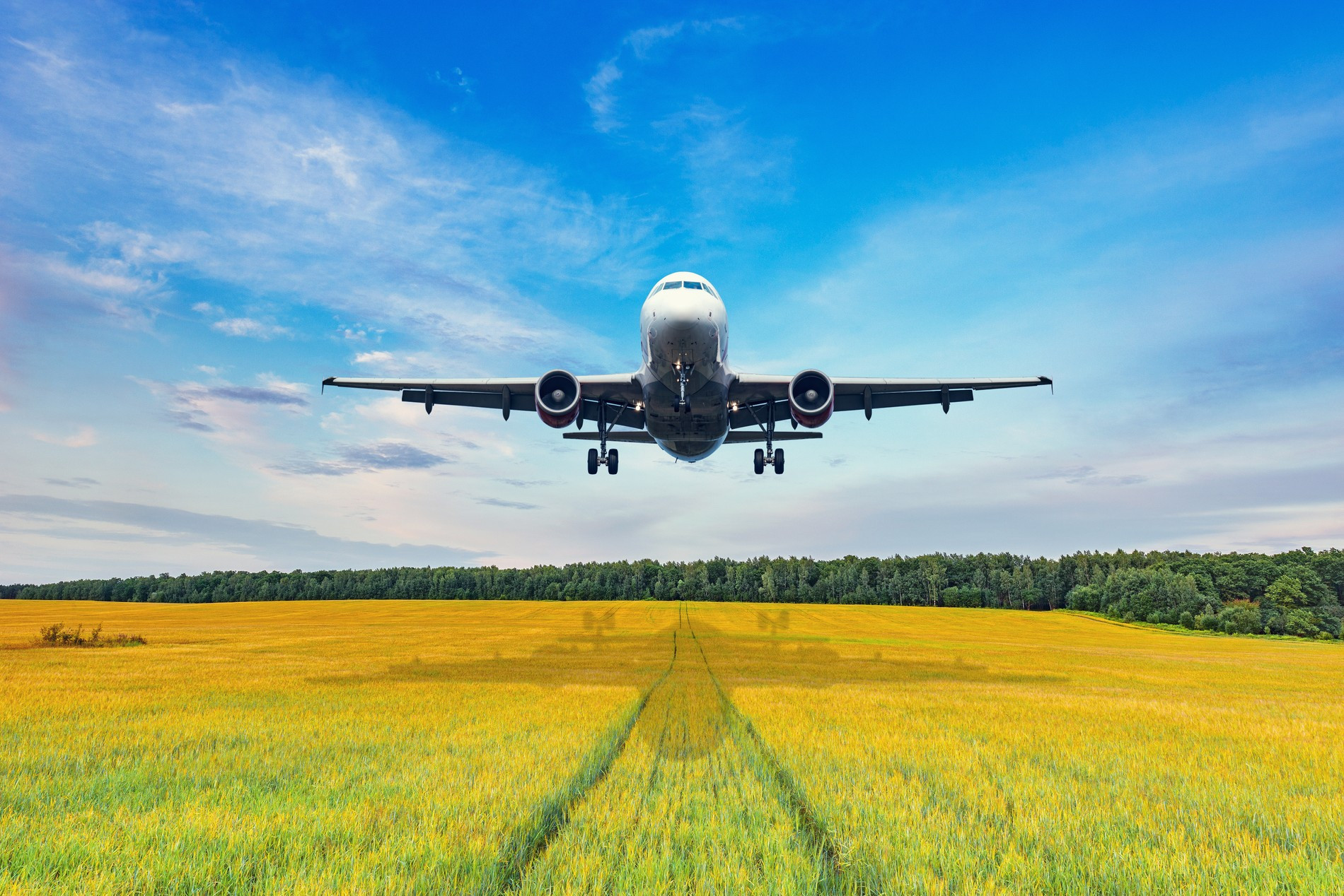 Фото: Getty Images