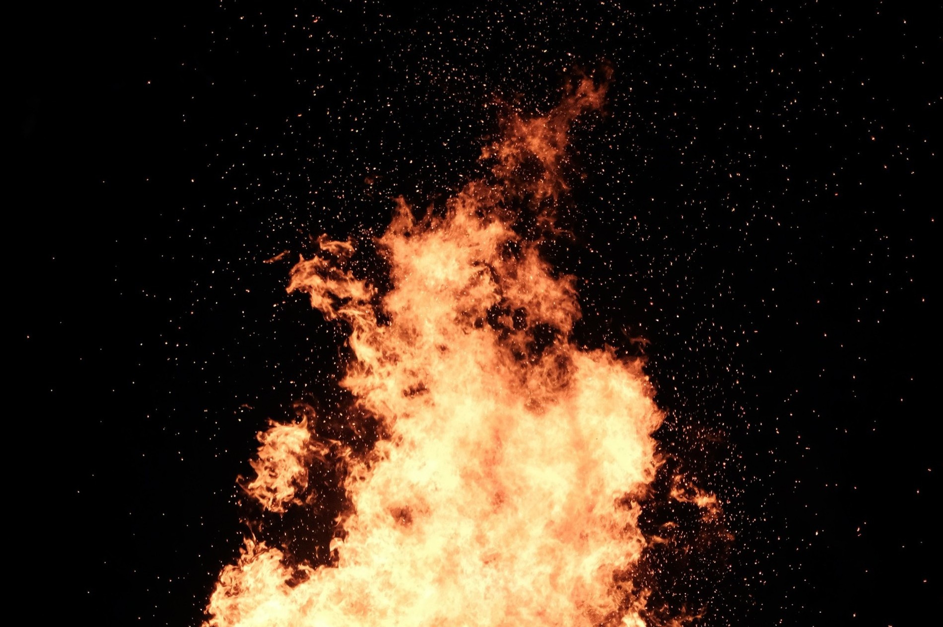 Фото:  Fredrik Solli Wandem / Unsplash