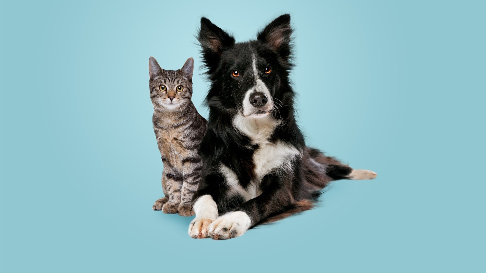 Фото: Getty Images